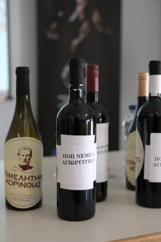 Στιγμιότυπο από την εκδήλωση Wine & Balance στο Πανεπιστήμιο Πατρών (11/21)